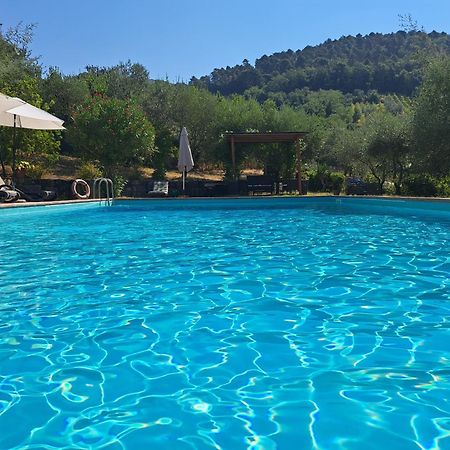 Agriturismo Poggio all'Olmo Villa Greve in Chianti Esterno foto
