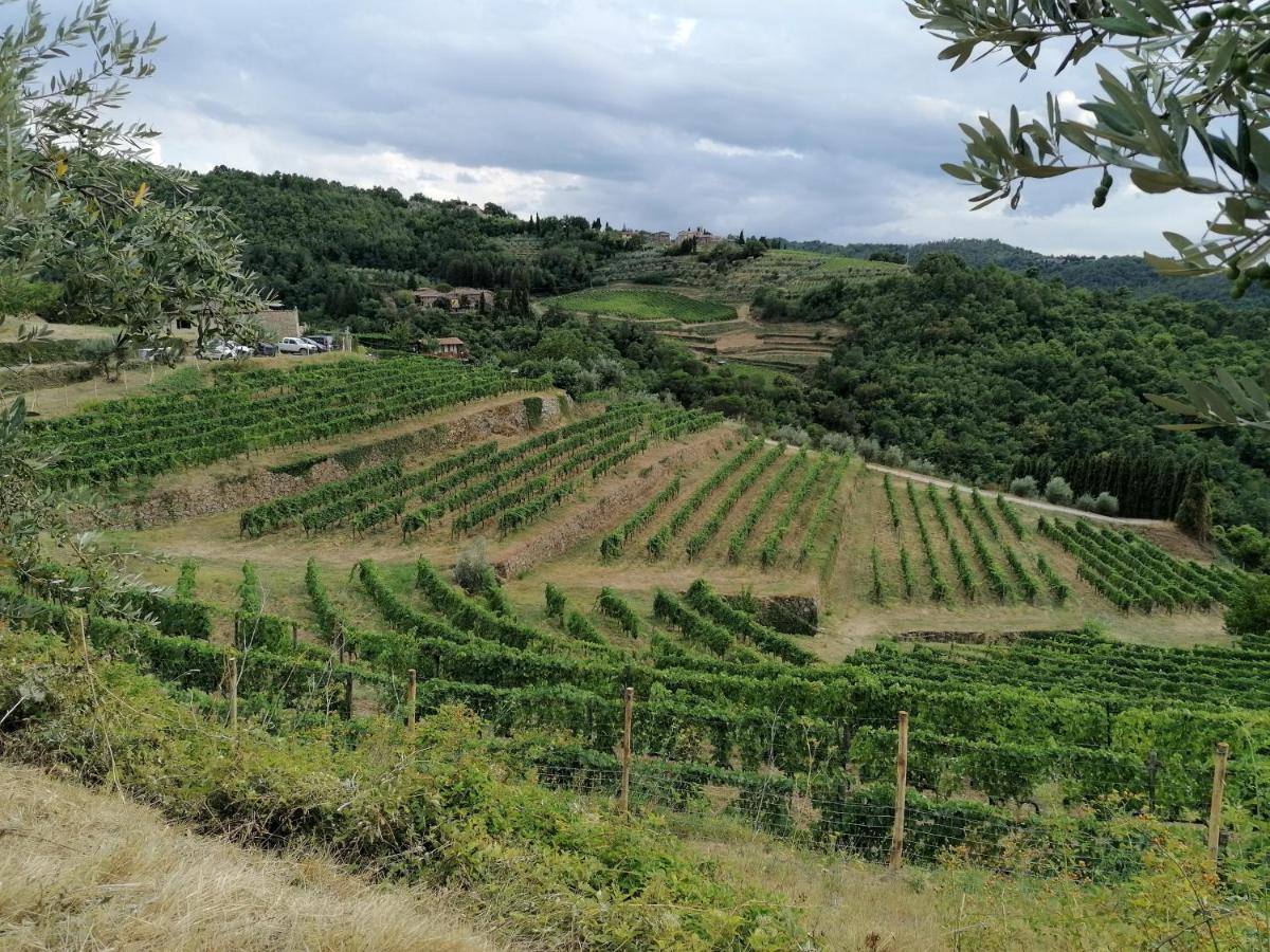 Agriturismo Poggio all'Olmo Villa Greve in Chianti Esterno foto