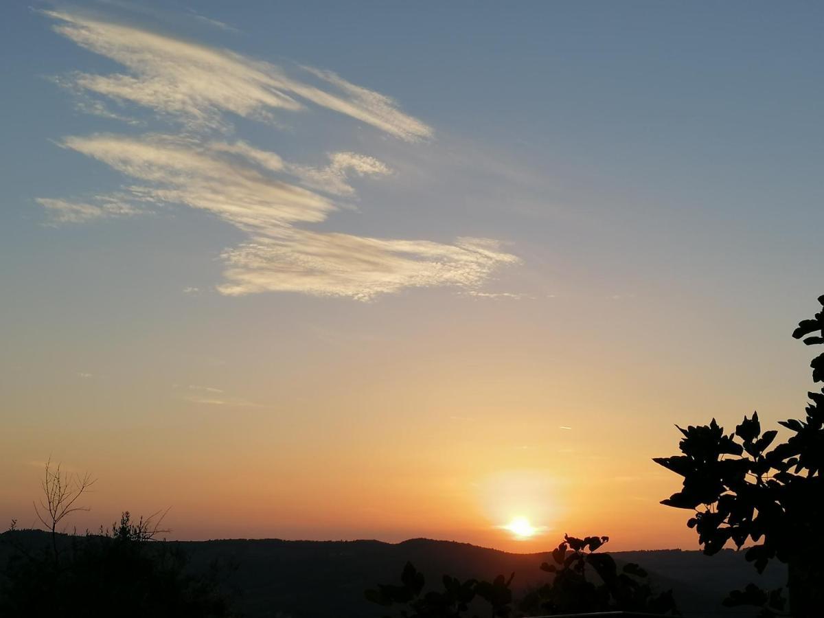 Agriturismo Poggio all'Olmo Villa Greve in Chianti Esterno foto