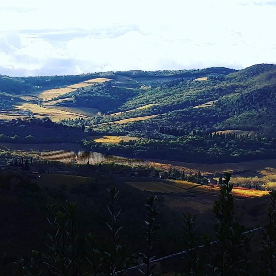 Agriturismo Poggio all'Olmo Villa Greve in Chianti Esterno foto