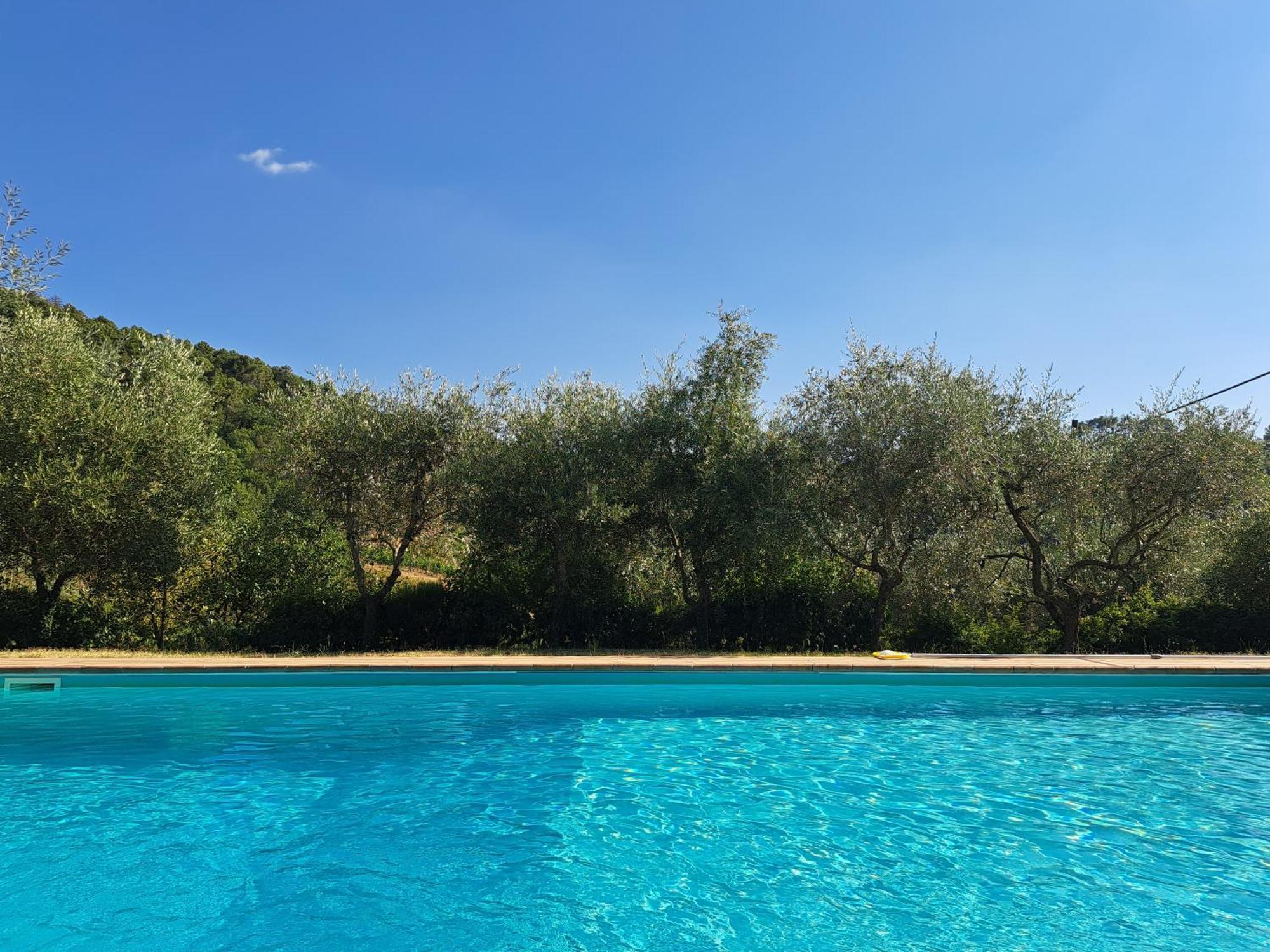 Agriturismo Poggio all'Olmo Villa Greve in Chianti Esterno foto