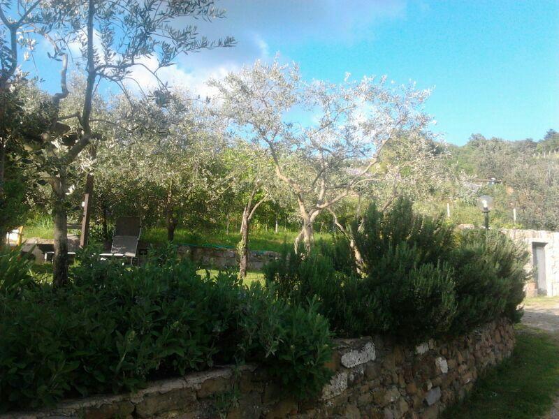Agriturismo Poggio all'Olmo Villa Greve in Chianti Esterno foto