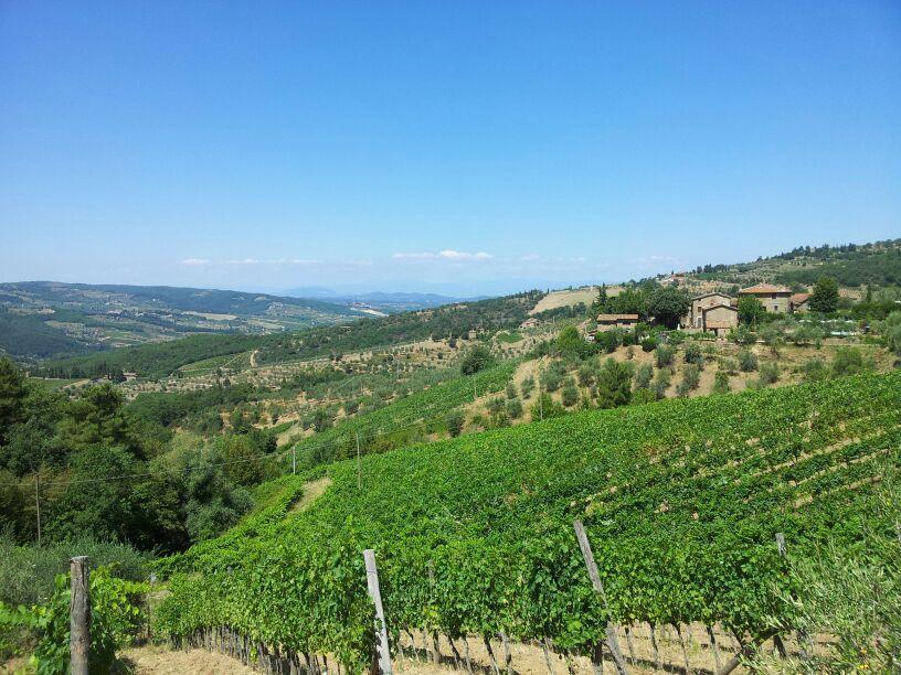 Agriturismo Poggio all'Olmo Villa Greve in Chianti Esterno foto