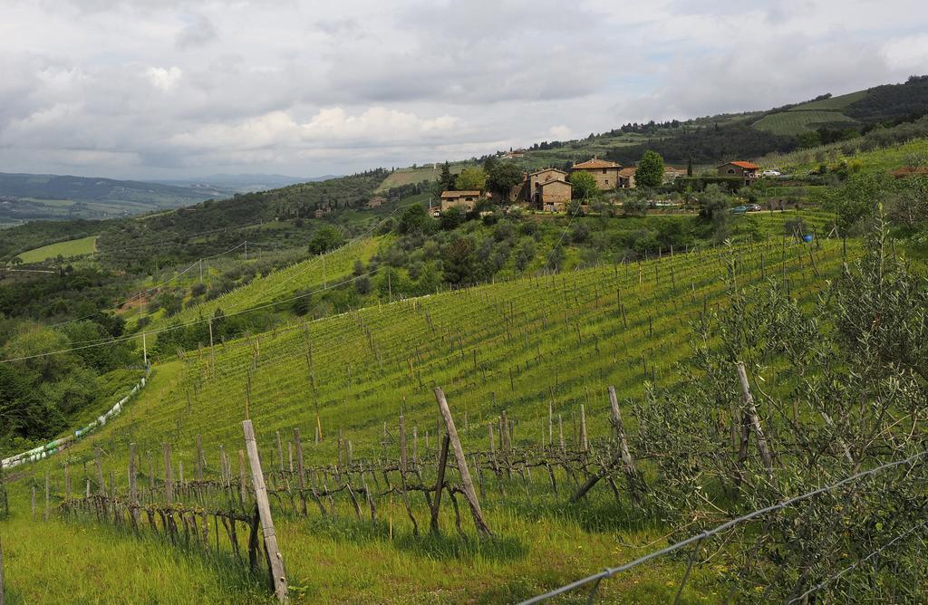 Agriturismo Poggio all'Olmo Villa Greve in Chianti Esterno foto